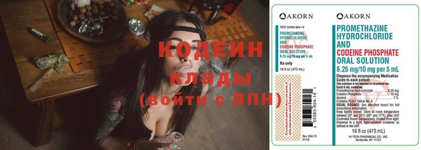 метадон Вяземский