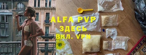 прущие грибы Вязьма