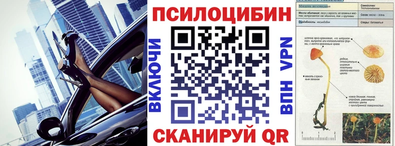 KRAKEN маркетплейс  Заволжск  Галлюциногенные грибы Cubensis 